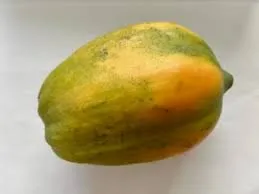 Papeeta (A+ Grade, 1.5 KG)