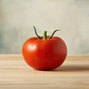 Tamatar