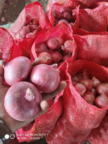 Pyaz (A+ Grade, 1 KG)